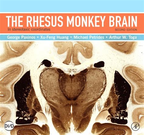 The Rhesus Monkey Brain in Stereotaxic Coordinates 2nd Edition Doc