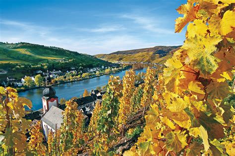 The Rhine River: A Majestic Companion to Germany's Vineyards