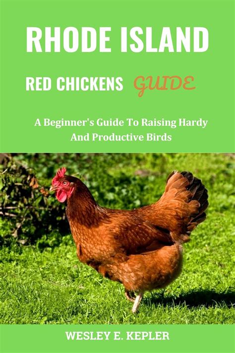 The Rhode Island Red Chicken: A Comprehensive Guide for Raising a Resilient and Productive Breed