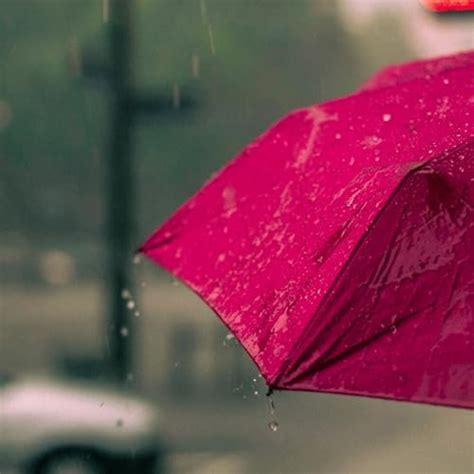 The Rhythm of Bangkok's Seasons