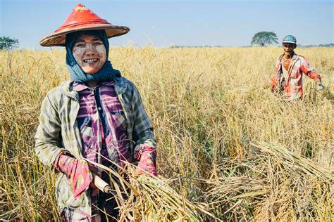 The Rice Industry of Burma Kindle Editon