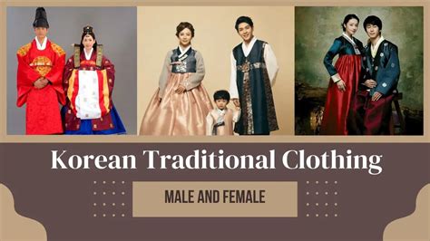 The Rise of A-Land Korean Clothing in China: A Comprehensive Guide