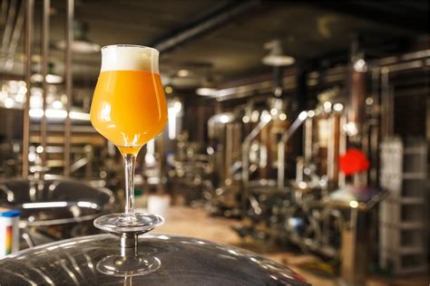 The Rise of Craft Beer in PA