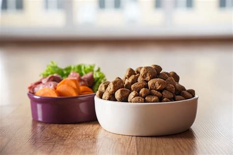 The Rise of Human-Grade Pet Food