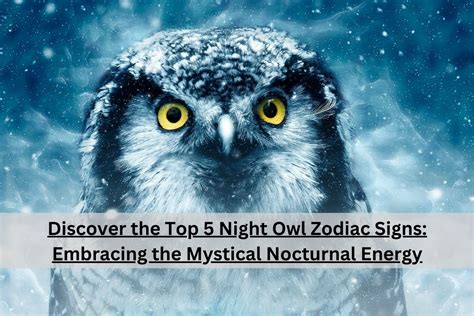 The Rise of Night Owls: Embracing the Nocturnal Economy