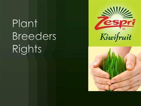 The Rise of Plant Breeders' Rights in the 21st Century