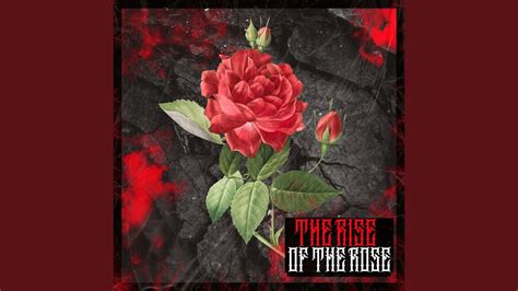 The Rise of the Rose