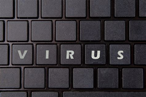 The Rise of the Virus