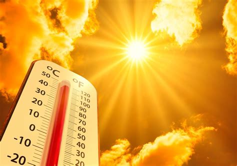 The Rising Demand for Temperature Taking Professionals Amidst Global Health Crises