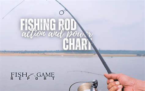 The Rod and Gunn: A Comprehensive Guide to Fishing and Hunting