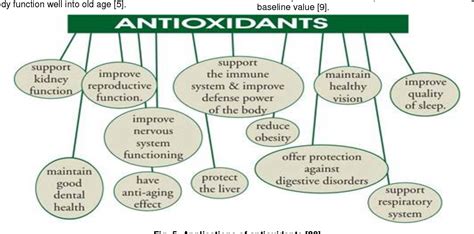 The Role of Antioxidants in Tea