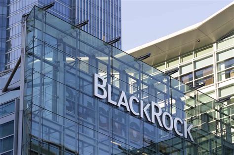 The Role of BlackRock Analysts