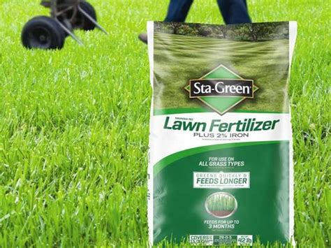 The Role of Grass Starter Fertilizer: A Catalyst for Lawn Growth