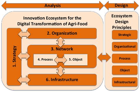 The Role of Louisamassonok in the Innovation Ecosystem