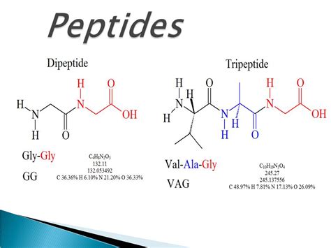 The Role of Peptides: