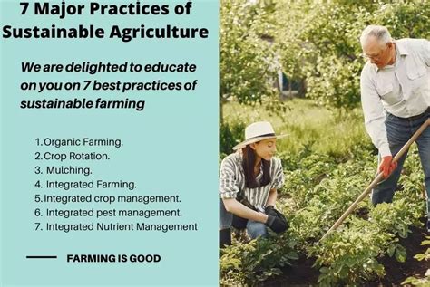 The Role of Trees in Sustainable Agriculture Reader