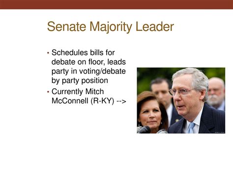 The Role of the Majority Leader in the Senate