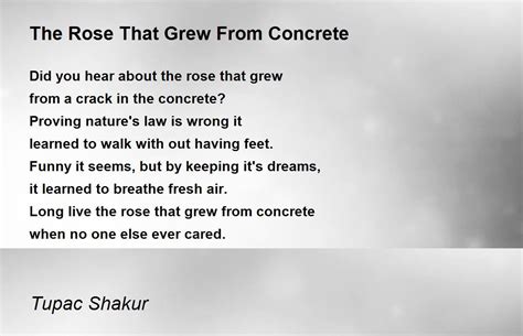 The Rose that Grew from Concrete Kindle Editon