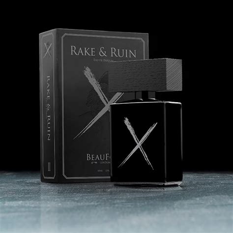 The Ruin of a Rake Epub