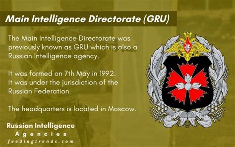 The Russian Intelligence Kindle Editon