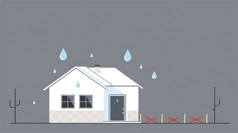 The Rynkerbelle of Leaks: Identifying and Mitigating Water Damage to Protect Your Home