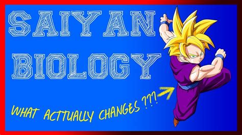 The Saiiyansam Leak: Uncovering a Wealth of Information on Saiyan Biology and Abilities