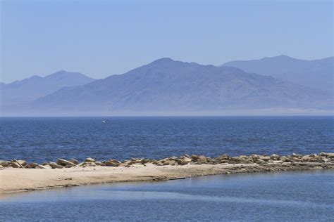 The Salton Sea PDF