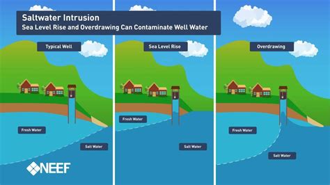 The Salty Siren: Unveiling the Allure and Hazards of Coastal Saltwater Intrusion