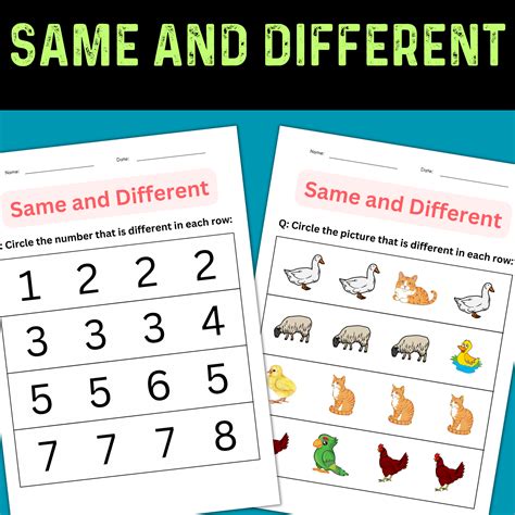 The Same But Different Answer Key PDF