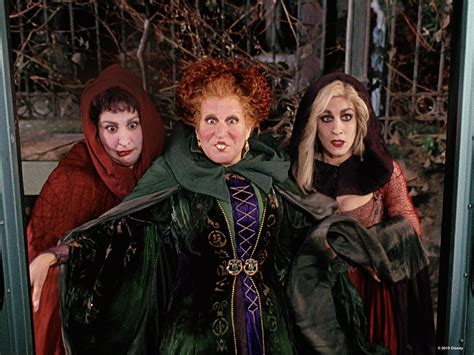 The Sanderson Sisters Legacy: A Cultural Touchstone