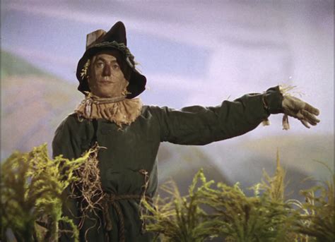 The Scarecrow of Oz Doc