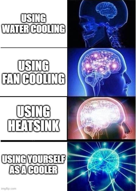 The Science Behind Cooling Memes