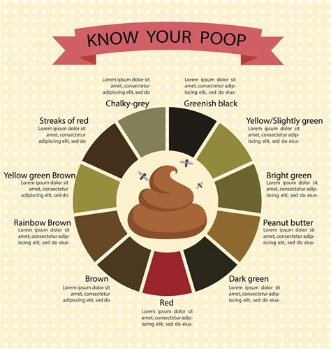 The Science Behind Green Poop