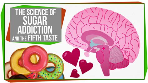 The Science Behind Sugar Addiction