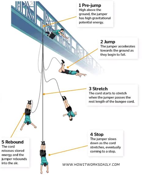 The Science Behind the Jump