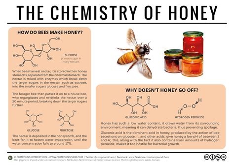 The Science of Honeyxbparadise Products