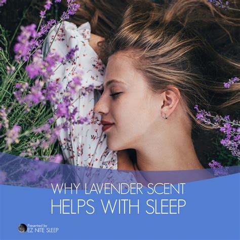 The Science of Serenity: Unraveling the Calming Effects of Lavender