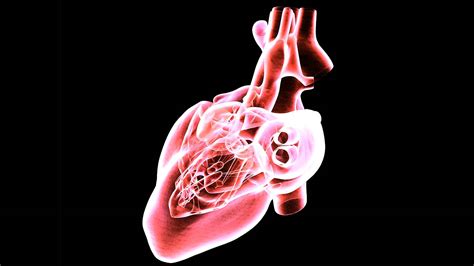 The Science of Simulated Heartbeats