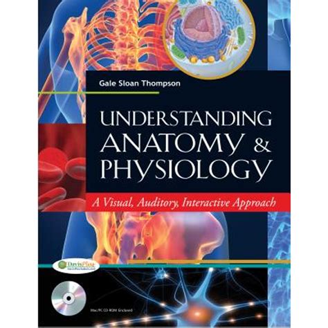 The Science of Sports: Understanding the Anatomy, Physiology, and Training Methods