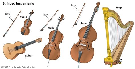The Science of String Instruments Doc