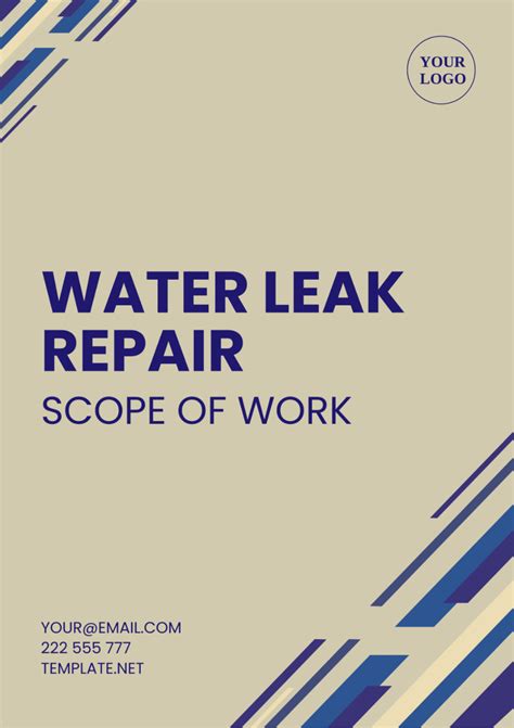 The Scope of the Leaks