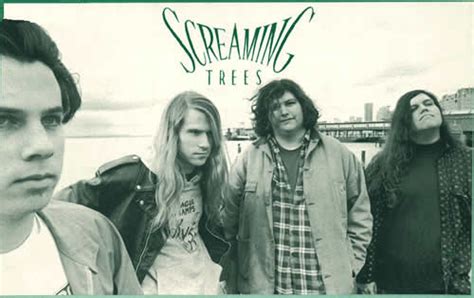 The Screaming Trees: A Grunge Legacy