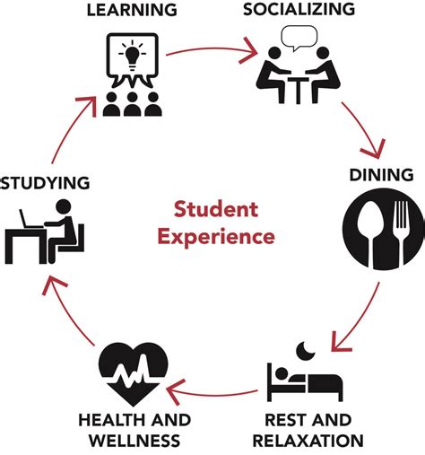 The Secrets to University From a Student s Experience Doc