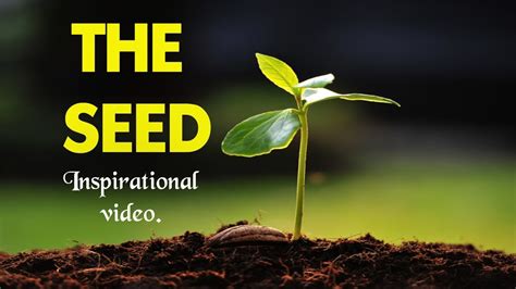 The Seeds of Inspiration