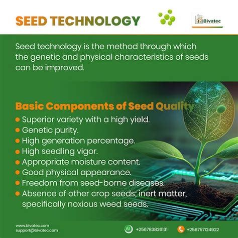 The Seeds of Success: Understanding the Importance of High-Quality Seeds