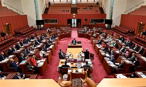 The Senate
