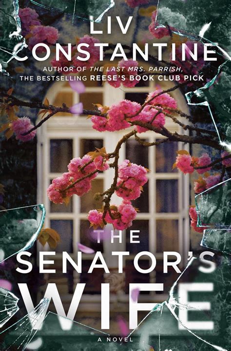 The Senator s Wife A Novel Doc