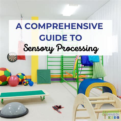 The Sens: A Comprehensive Guide to Sensory Processing