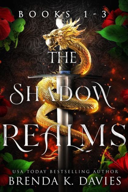 The Shadow Realm 4 Book Series Reader