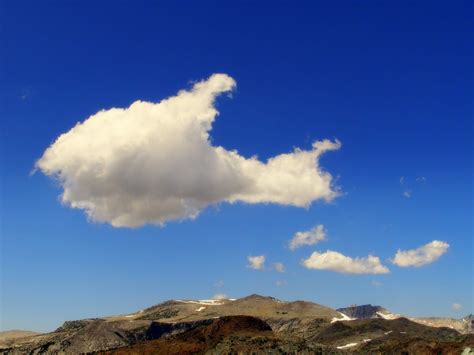 The Shape of Clouds Reader